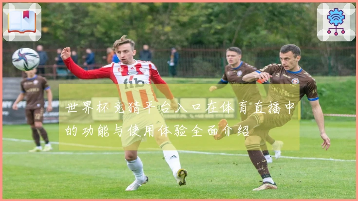 世界杯竞猜平台入口在体育直播中的功能与使用体验全面介绍