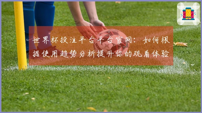 世界杯投注平台平台官网：如何根据使用趋势分析提升你的观看体验