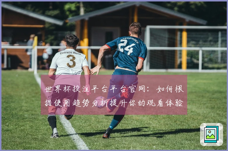 世界杯投注平台平台官网：如何根据使用趋势分析提升你的观看体验