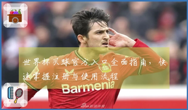 世界杯买球官方入口全面指南，快速掌握注册与使用流程