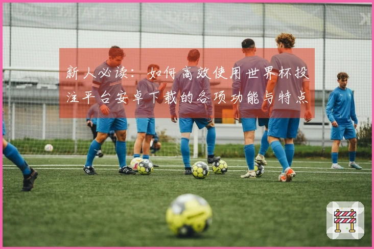 新人必读：如何高效使用世界杯投注平台安卓下载的各项功能与特点