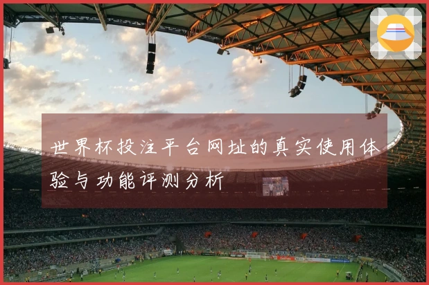 世界杯投注平台网址的真实使用体验与功能评测分析