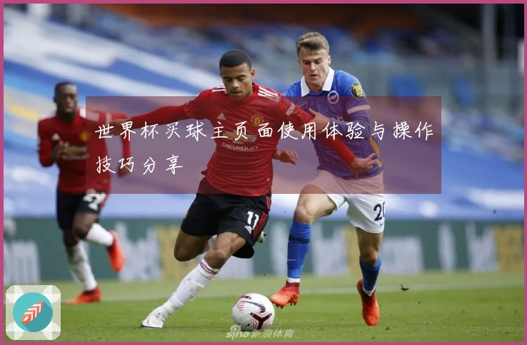 世界杯买球主页面使用体验与操作技巧分享