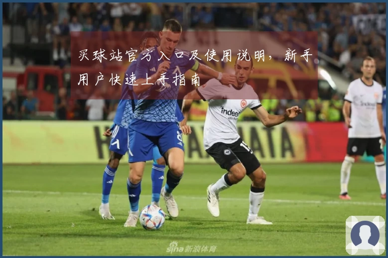买球站官方入口及使用说明，新手用户快速上手指南