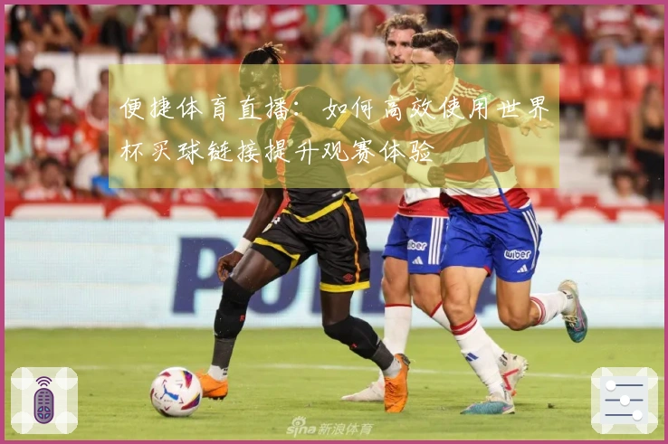 便捷体育直播：如何高效使用世界杯买球链接提升观赛体验