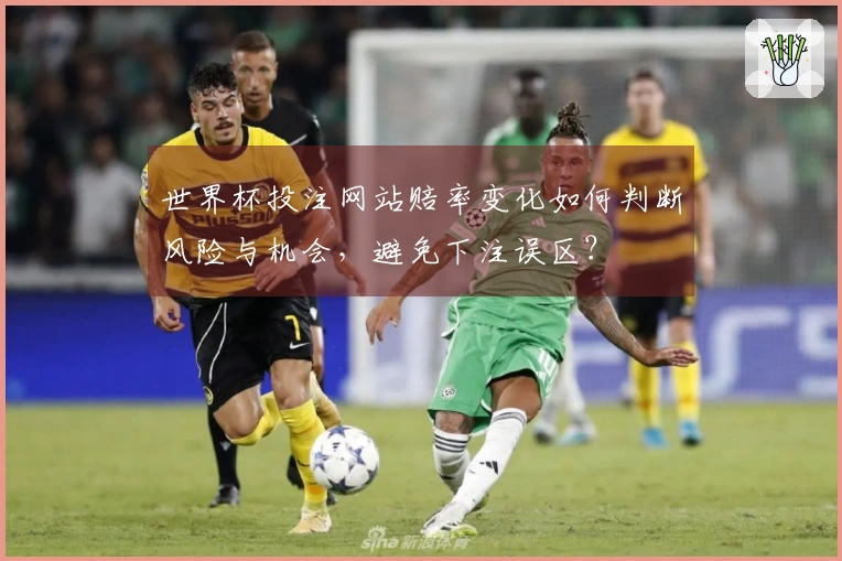 世界杯投注网站赔率变化如何判断风险与机会，避免下注误区？