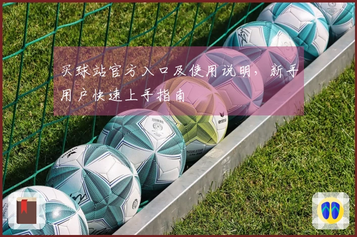 买球站官方入口及使用说明，新手用户快速上手指南