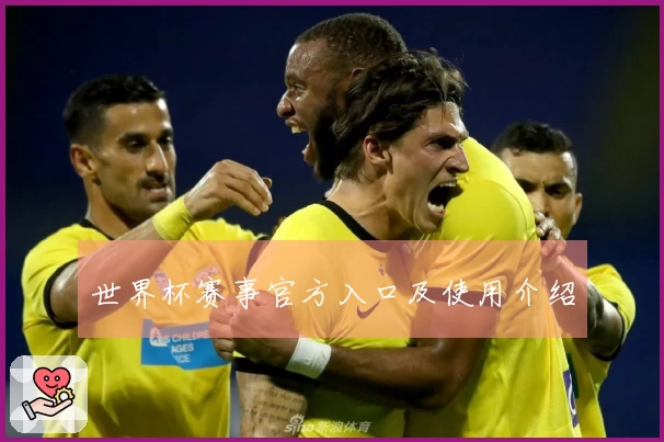 世界杯赛事官方入口及使用介绍
