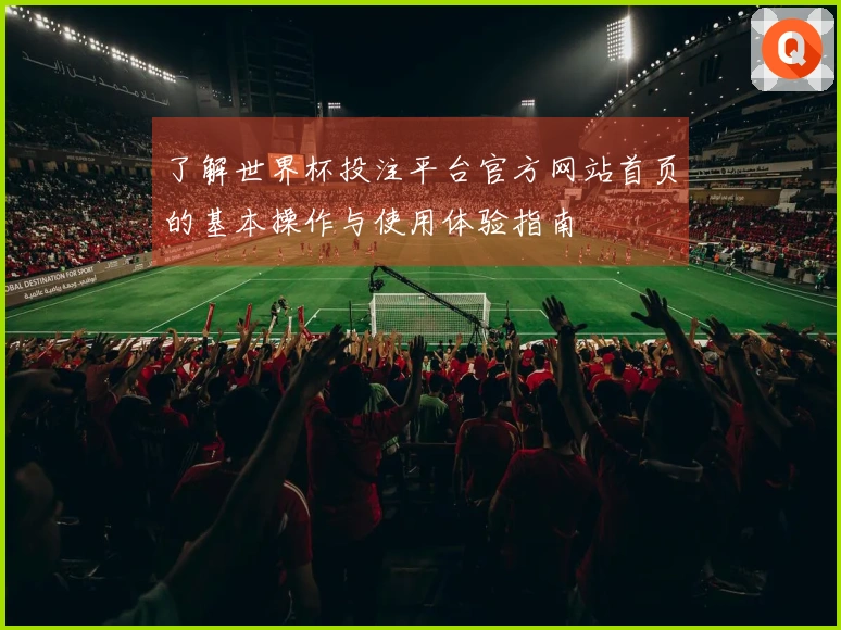 了解世界杯投注平台官方网站首页的基本操作与使用体验指南