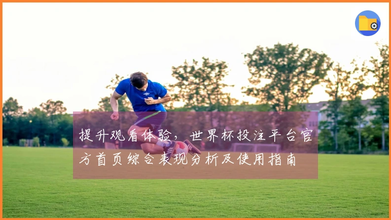 提升观看体验，世界杯投注平台官方首页综合表现分析及使用指南