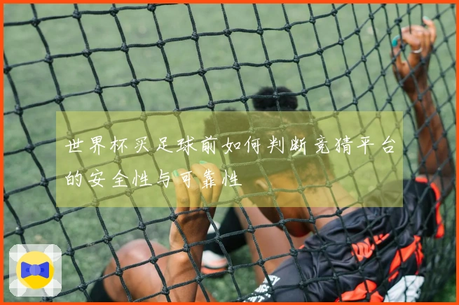 世界杯买足球前如何判断竞猜平台的安全性与可靠性