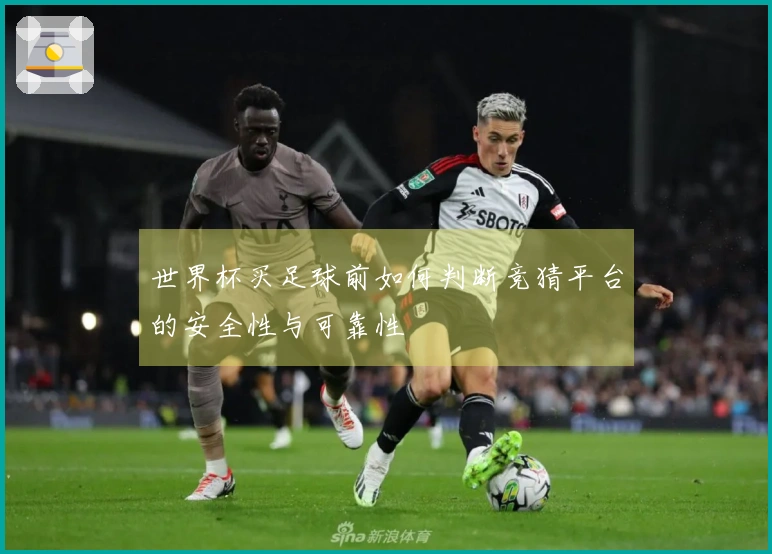 世界杯买足球前如何判断竞猜平台的安全性与可靠性