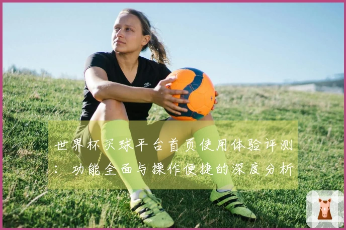 世界杯买球平台首页使用体验评测：功能全面与操作便捷的深度分析