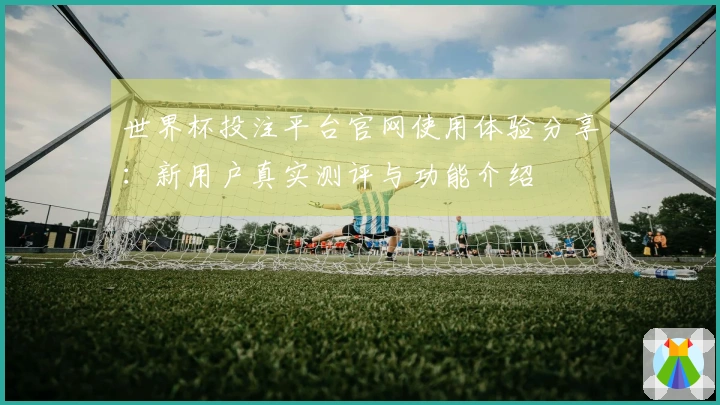 世界杯投注平台官网使用体验分享：新用户真实测评与功能介绍