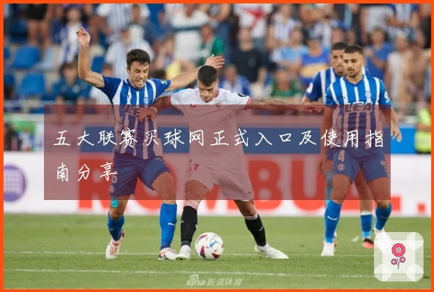 五大联赛买球网正式入口及使用指南分享