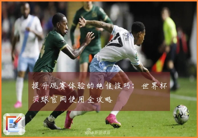 提升观赛体验的绝佳技巧：世界杯买球官网使用全攻略